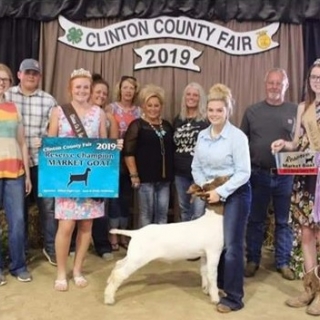 clinton co fair 2