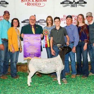 craddock Champ ewe FW