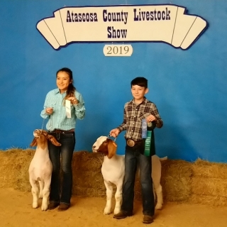 dakota landa atascosa tounty show