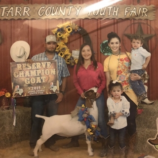 destiny castillo RGC Starr Co Youth Fair