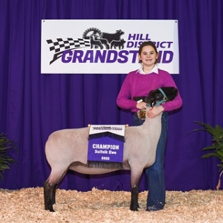 dittmar champion ewe grandstand