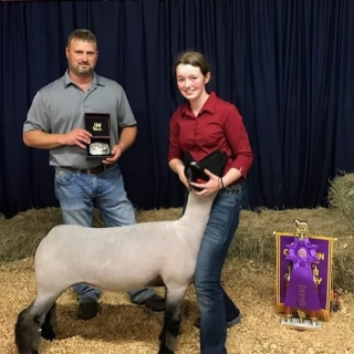 emily bailey union county fair grand champion