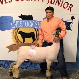 ethan villanueva res cross reeves co