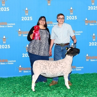 granger smith houston 2nd aged ewe