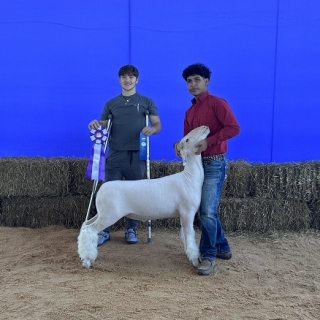 grant gonzales breed champion