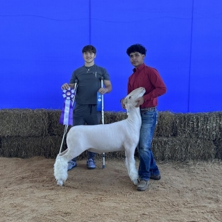 grant gonzales breed champion