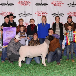 grant nobles National Grand Champion Ram Ft. Worth