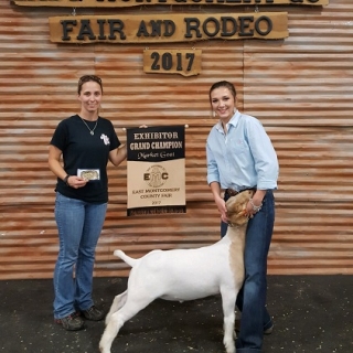 hailey fleming east texas fair