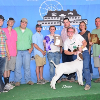 hannah viets,Miller hBoer Goats, Grand Champion Goat, Missouri State Fair
