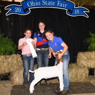 jada Shroyer ohio state Fair 3rd overall