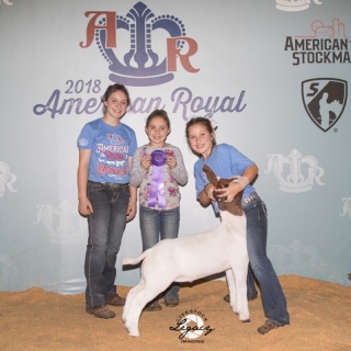 jada shroyer American Royal Champ div 2