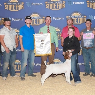 kaitlyn hall NM state fair 3rd overall - Copy