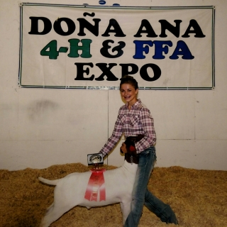 kaitlyn neal dona Ana County Expo RG