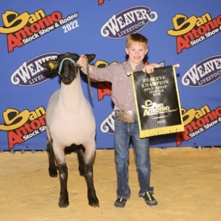 kannon travis Reserve Champion suffolk ram