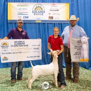 kansas state fair