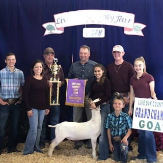 kary humphrey live oak champion goat