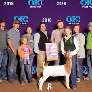 kenna gay green reserve grand champion oklahoma state fair