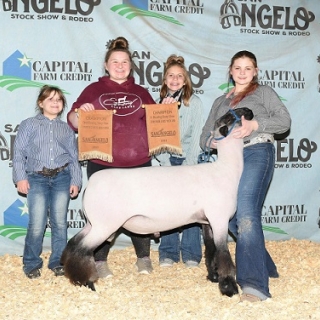 kenzie brown grand champiion hamp sAN ANGELO