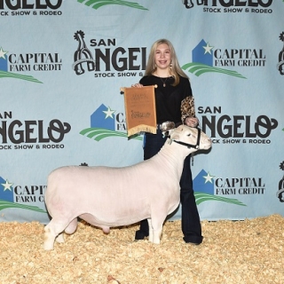 kiersten reed San Angelo breeding