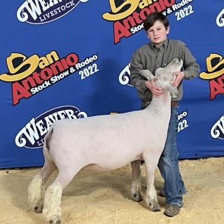 knox padgett 1st breeding