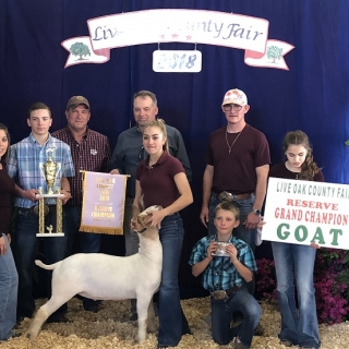 kory humphrey live oak co fair res champ