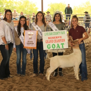 kory resrve grand champiion goat live oak county