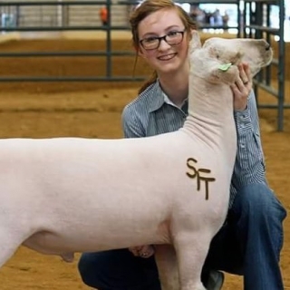 kyla shelnutt 3rd place southdown state fair