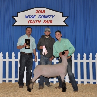 kyle drews wise co youth fair