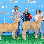 kylie parker houston 2nd rambouillet ewe
