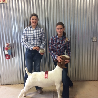 lauren smith, Brrandon Evans breeder, Grand Champion Goat Battle on the Brazos, 2nd place