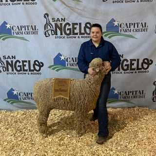 lila pope ewe San Angelo Breeding