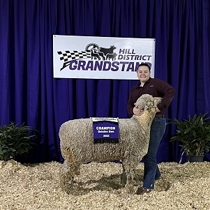 lila pope grandstand champ delaine ewe