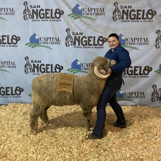 lila pope ram san angelo breeding