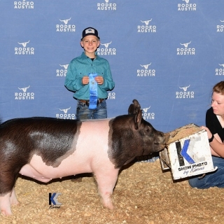 mack davis austin hog