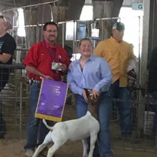 madison hall hARRIS CO FAIR
