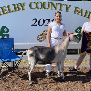 maryn sprinkle out of state county