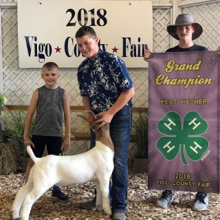 max scamihorngrandchampion