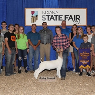 maxscamihornRC Indiana StateFAir