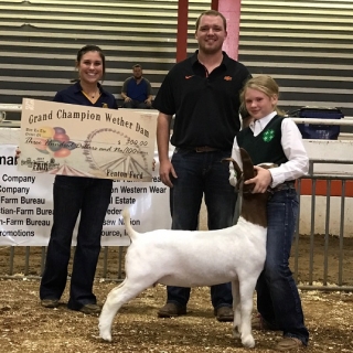 mckennagaypontotoc grand champ wether dam