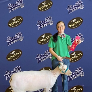 megan collins 2nd san antonio breeding