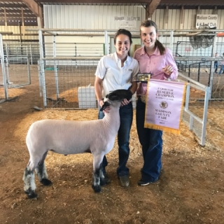 micah coleman madison co fair RGC lamb