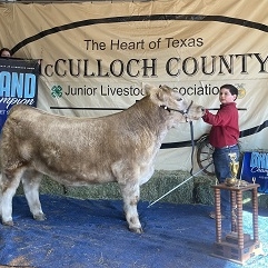 payton nuncio county steer