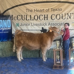 payton nuncio grand heifer