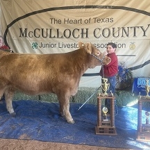 payton nuncio res grand heifer