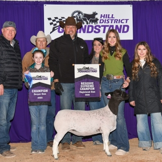 preslee faris grandstand breeding champ ew and res supreme