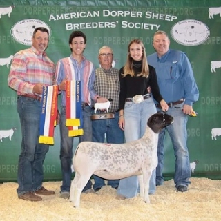 preslee faris national dorper show champ