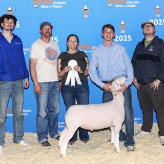 quinn hartley 3rd houston