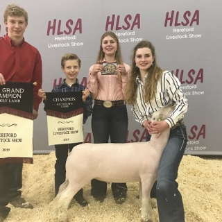 rachael detten hereford livestock show RG