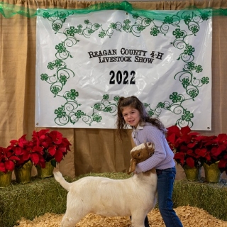 ramsey mcphaul Grand goat