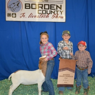 reagan beaver borden county